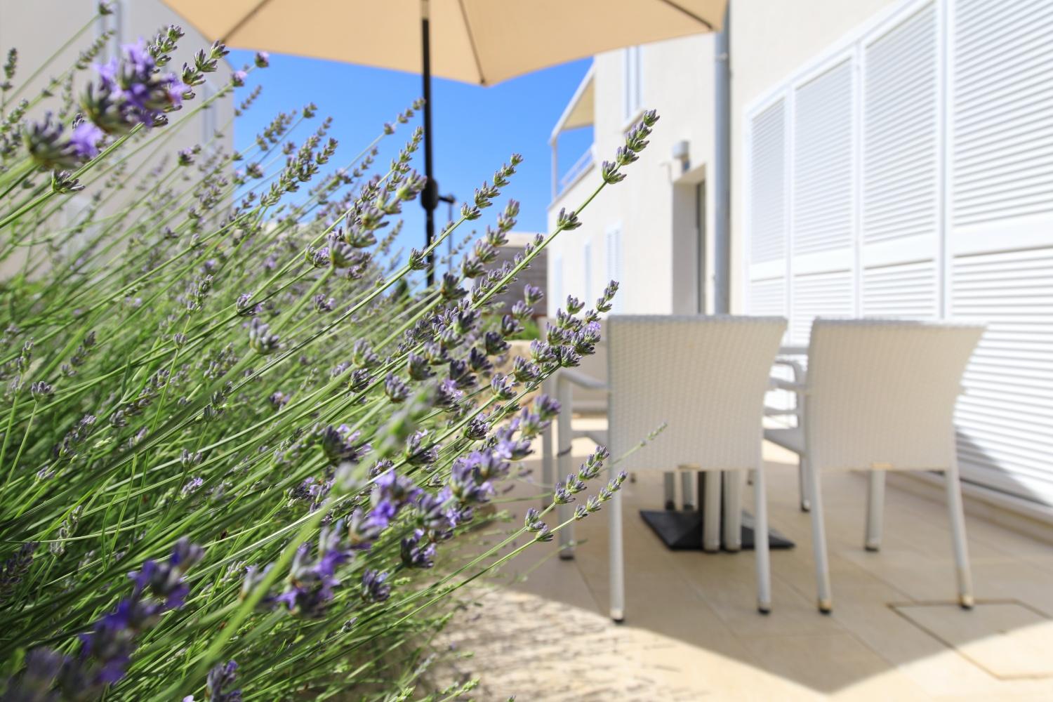 Sunnyside Apartments Resort Петрчане Экстерьер фото